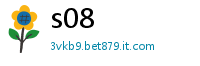 s08
